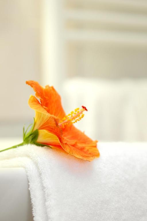 Hotel Le Clos Roussillon Pres De Sarlat Vitrac  Δωμάτιο φωτογραφία